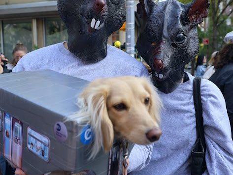 Tompkins Square Halloween Dog Parade (36th Annual) — Saturday, October 17, 2026 (confirm closer to date)