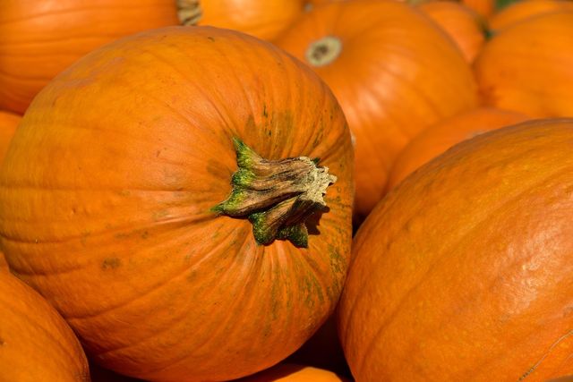 38 Covel Avenue Halloween Display