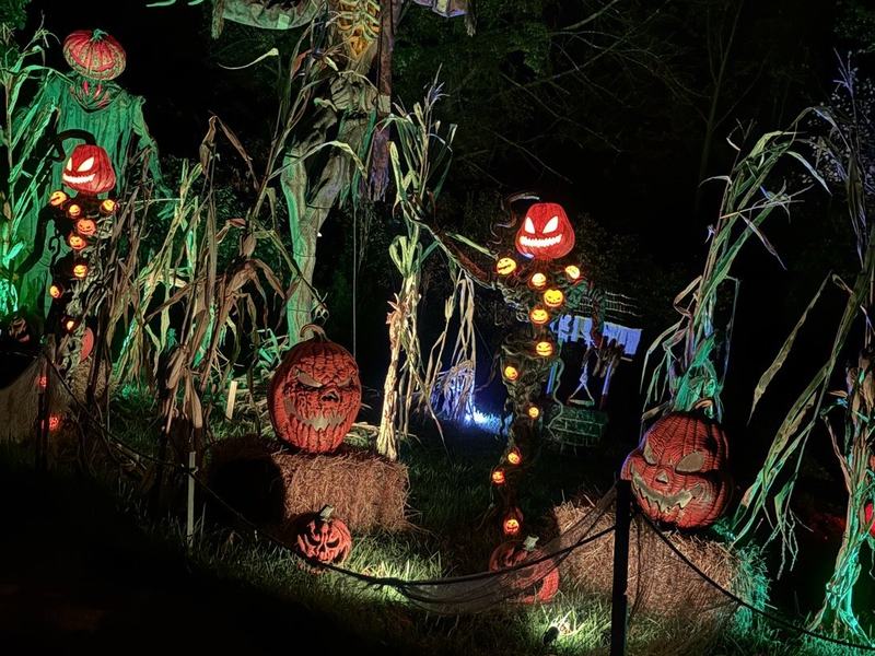 The MIDNIGHT HARVEST & LAST STOP CEMETERY