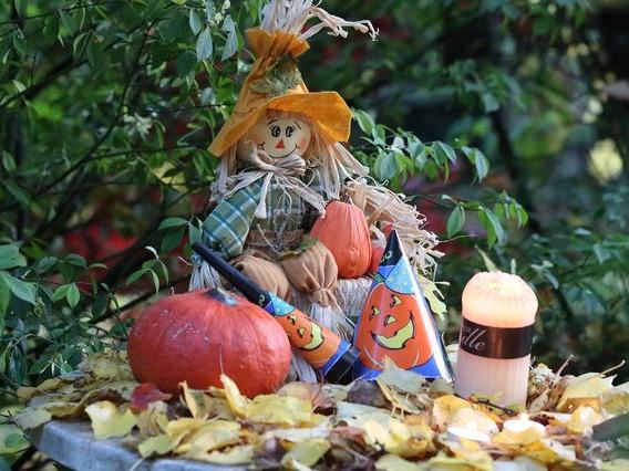 Halloween Eye Spy Trains - Wheaton (Weekends Oct 3 to Nov 1)