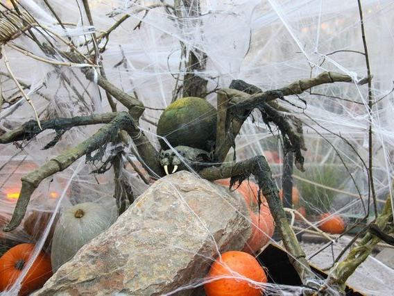 Century Haunted Hayride & Spooky Walk