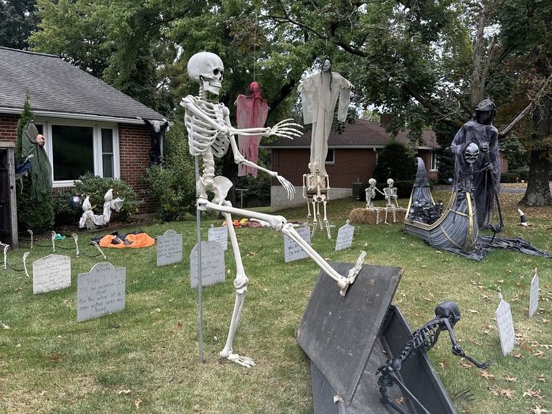 Spooky Scary Skeletons