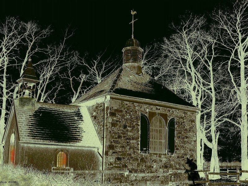Haunted Wunderland Woods
