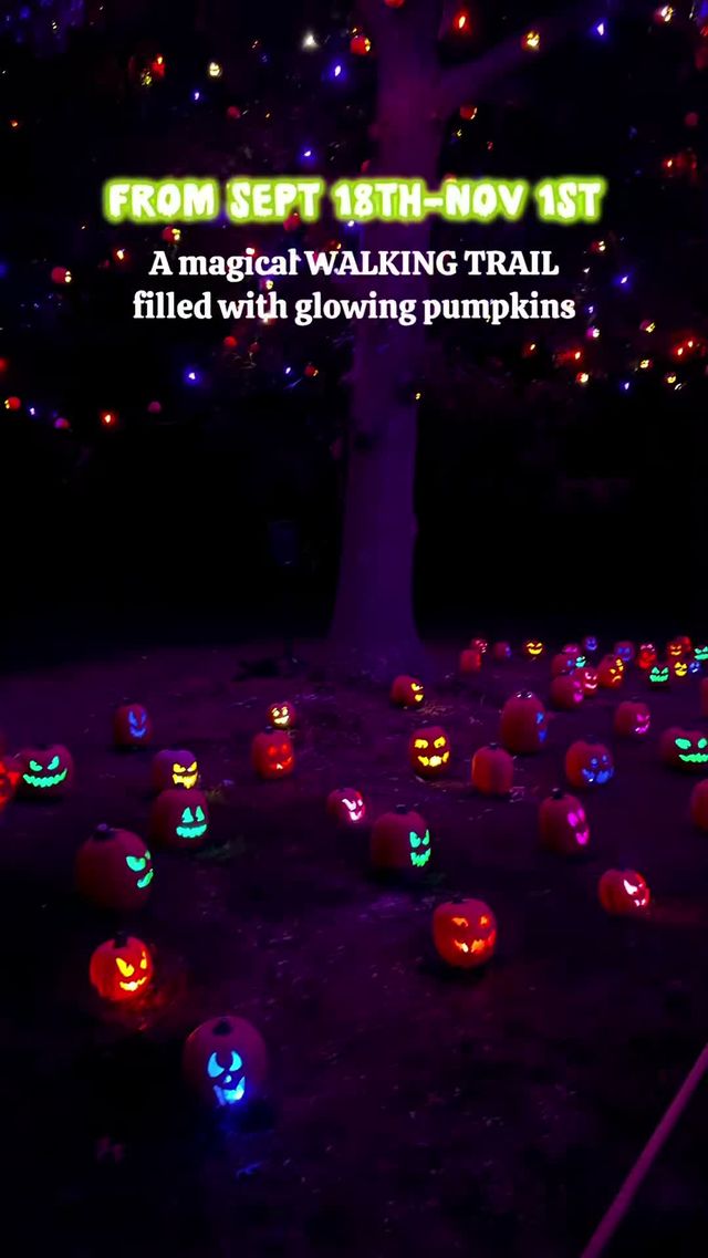 Jacks & Lights at Argos Farm — 0-30, No Jump Scares, All Ages