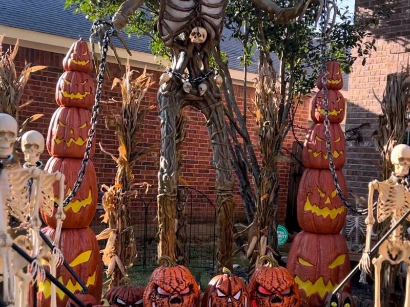 LF Haunt