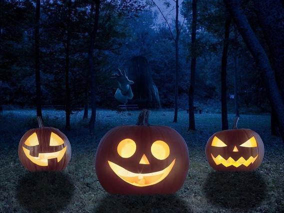 Wood Creek Hollow Haunted Nights