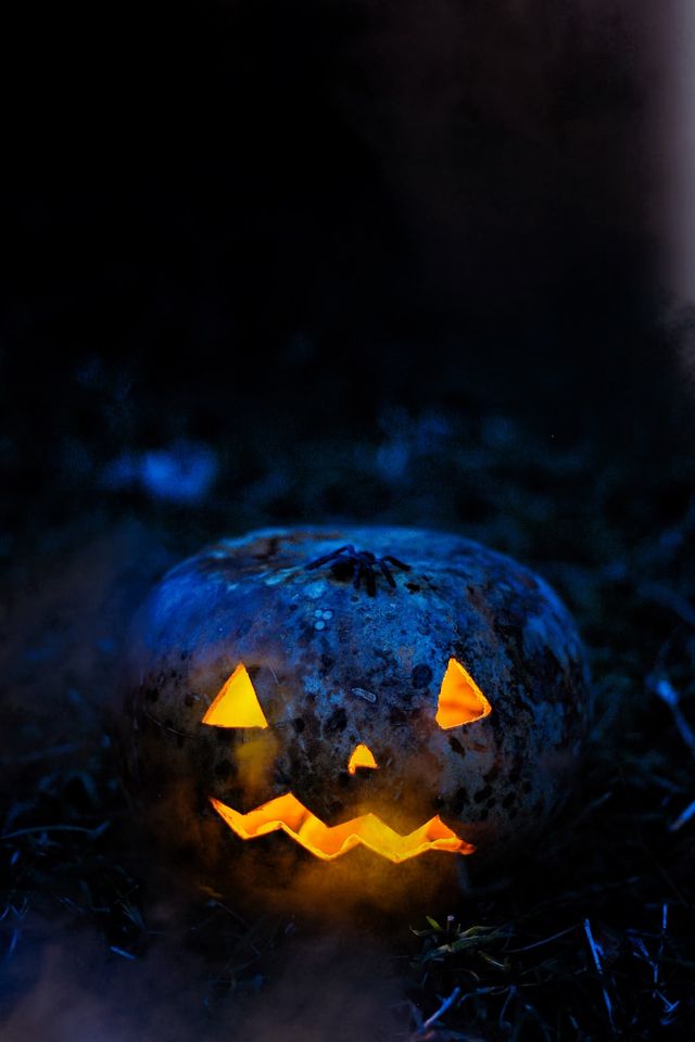 House of Horror — 22 Sweet Brook Rd, Nightly 6-10pm