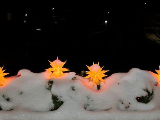 Marvel Family Christmas Lights