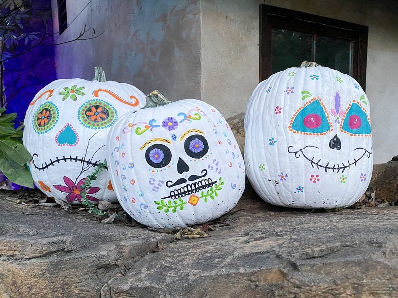 Boo at the Zoo · Oct 16–Nov 1