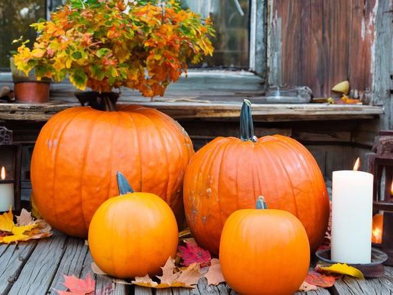 HallZOOween - Cincinnati Zoo (Oct 10-11, 17-18, 24-25, 31-Nov 1, 2026, noon-5pm)