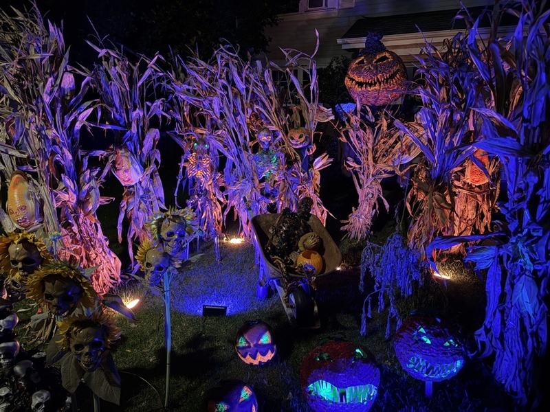 Gruesome Garden