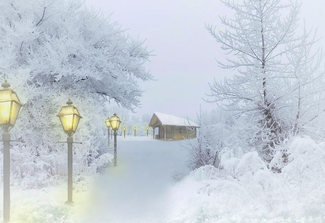 Maloney Lights