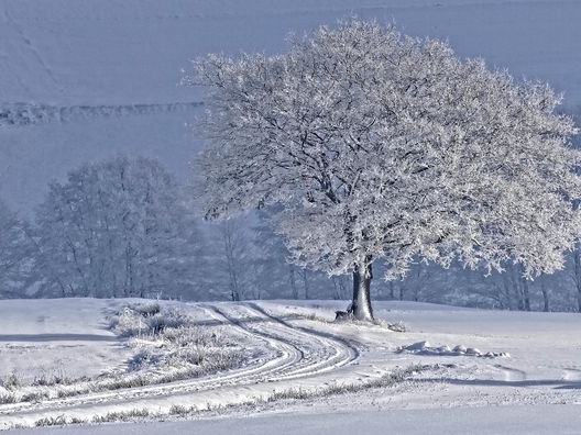 Christmas on Stony Point