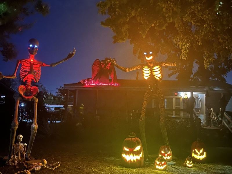 Mr bones & Friends