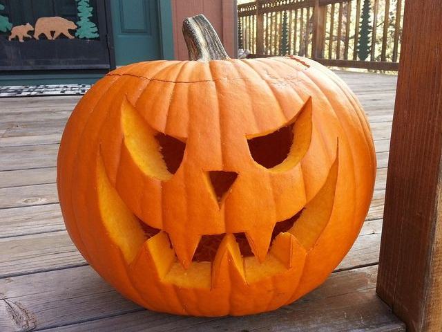 Kimball Farm — Fall Season