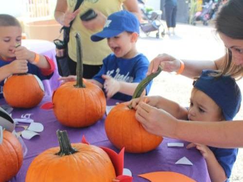 Hicks Nurseries Fall Festival — September 12 – November 1, 2026