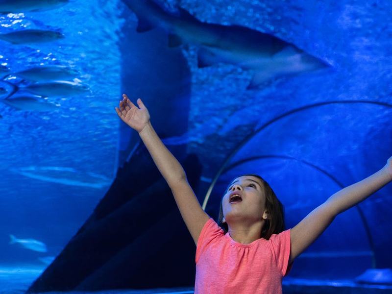 Tricks & Treats Halloween Event — SEA LIFE San Antonio · Oct 17-Nov 1