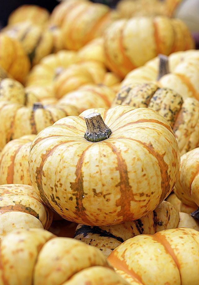 Fright at the Museum - Ohio History Center (Oct 25, 2026, 6-9pm)