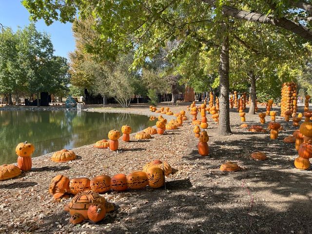 Halloween Harvest Festival at Socrates Sculpture Park — Oct 31, 2026, 12:00 PM - 5:00 PM