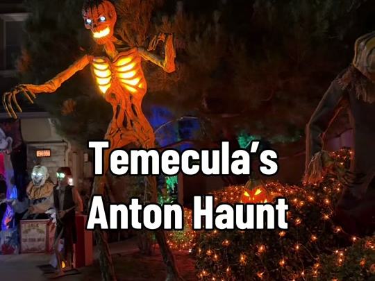 Anton Haunt
