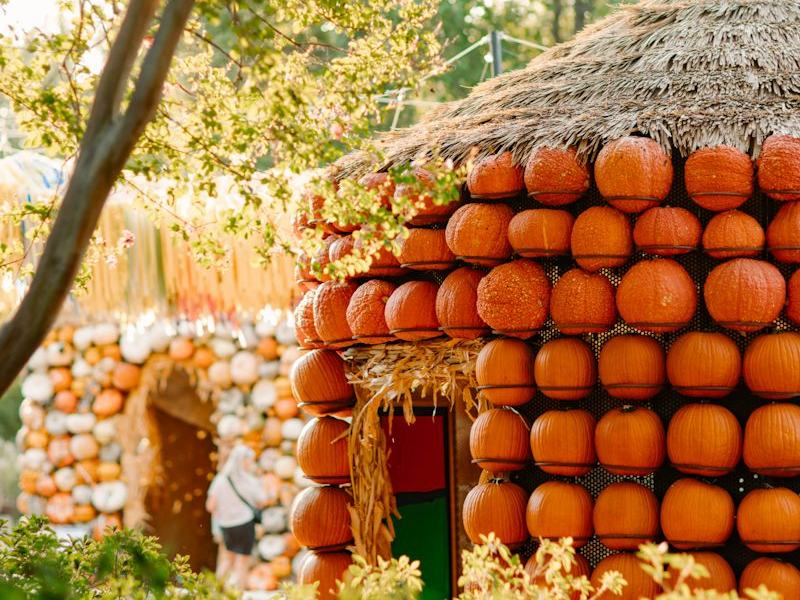 Autumn at the Arboretum — Dallas Arboretum and Botanical Garden · Sep 19-Nov 1