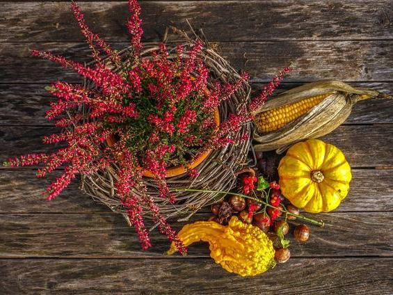 The Farm Woodbury — Fall Season