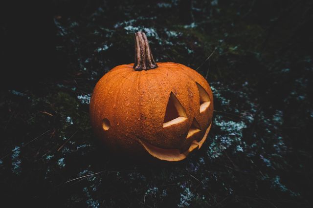 Fright Night: A Community Haunted House (Oct 30)