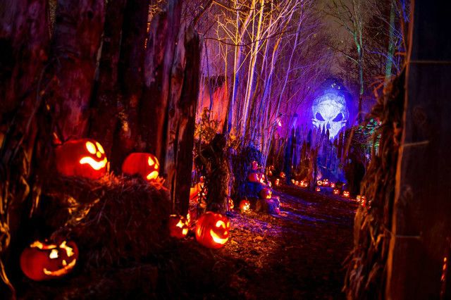 Pipersville Projections — 5056 Kratz Carriage Road (approx. location)