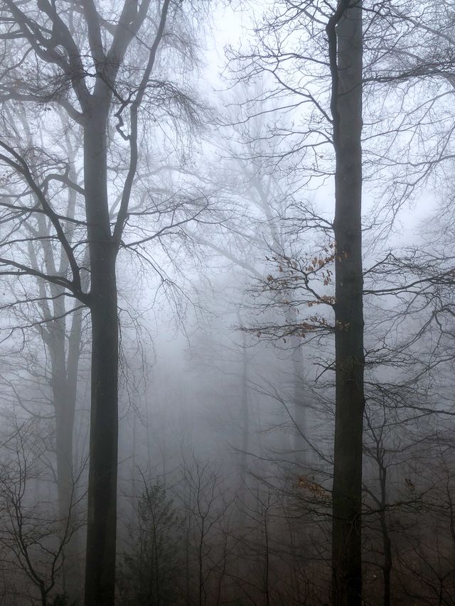 Haunted Yard On The Hill