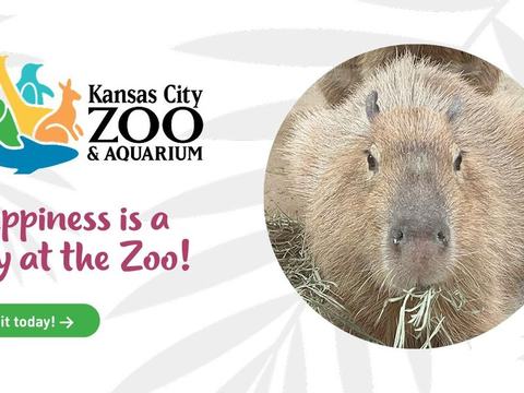 Boo at the Zoo — Kansas City Zoo & Aquarium — Kansas City Zoo & Aquarium · Oct 24-25