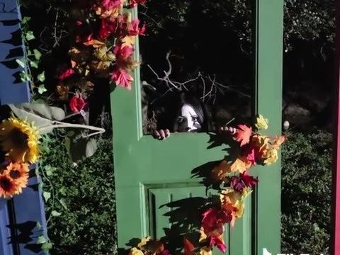 Nightmare at Owl Creek