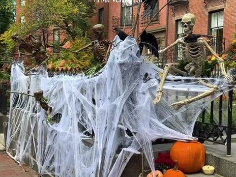 Skeletons in the Webs — Beacon Hill