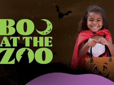 Boo at the Zoo — Denver Zoo · Oct 2-31