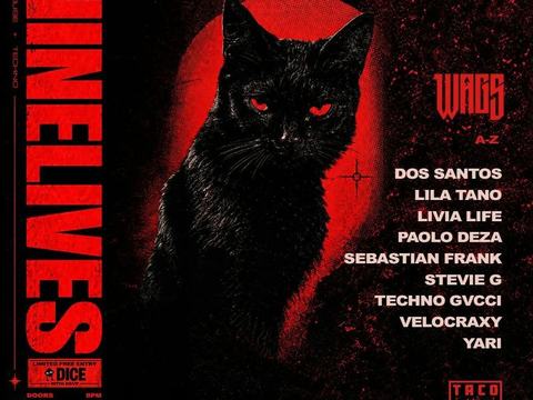NINELIVES: Wags, Livia Life, YARI, Sebastian Frank, Stevie G, Velocraxy, Dos Santos, Paolo Deza + more — Taco Kat · Sat
