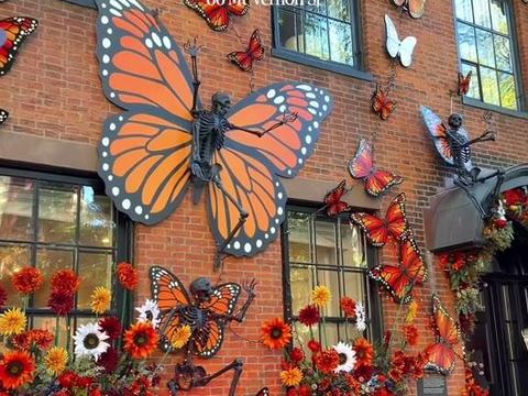 Monarch Butterfly Facade — Beacon Hill