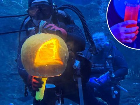 Boo Bash — Adventure Aquarium · Thu Oct 29 · 5:30–9:30pm · 21+ · $44.99