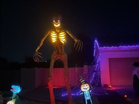 The skeleton house of terror
