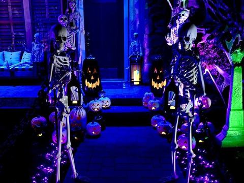 Skeleton Manor