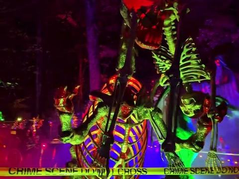 Giant Skeleton T-Rex — Bethany