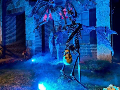 flying creatures of the Night