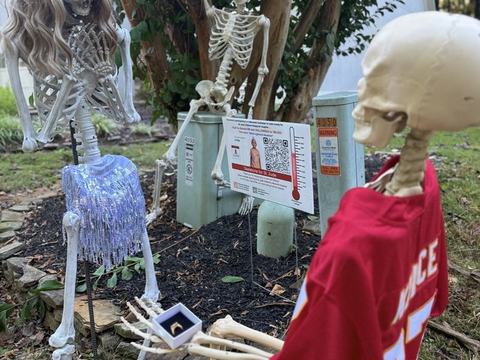 Spooktacular Skeletons