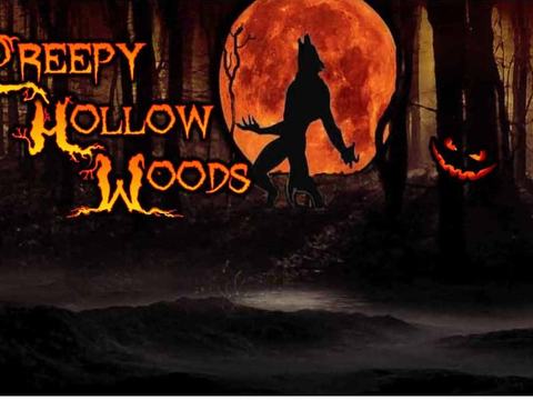 Creepy Hollow Haunted Woods