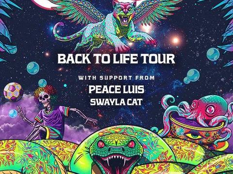Capochino, Peace Luis, Swayla Cat — The Den PDX · Fri Nov 6