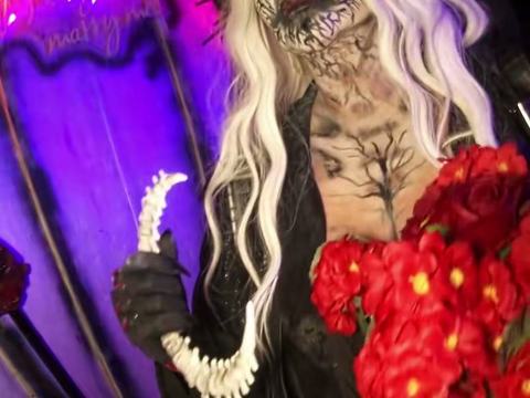 The Horrorland Scream Park