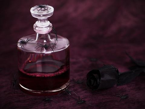 Austin Witches Market — Fortune Teller, Austin · Fri Oct 23 · 6–10pm