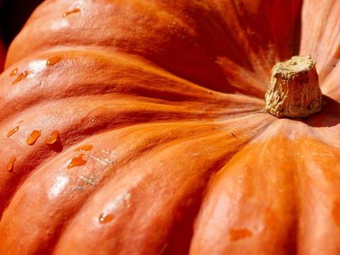 Portland Saturday Market — 2 SW Naito Pkwy, Portland · Sat Oct 24, Sun Oct 25 & Sat Oct 31, 2026