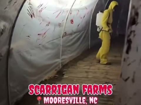Scarrigan Farms