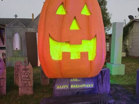 Largest Pumpkin In Town