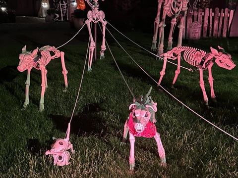 Silly Skeletons