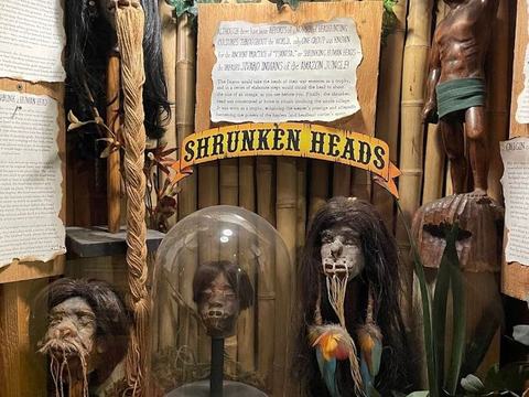 Museum of the Weird